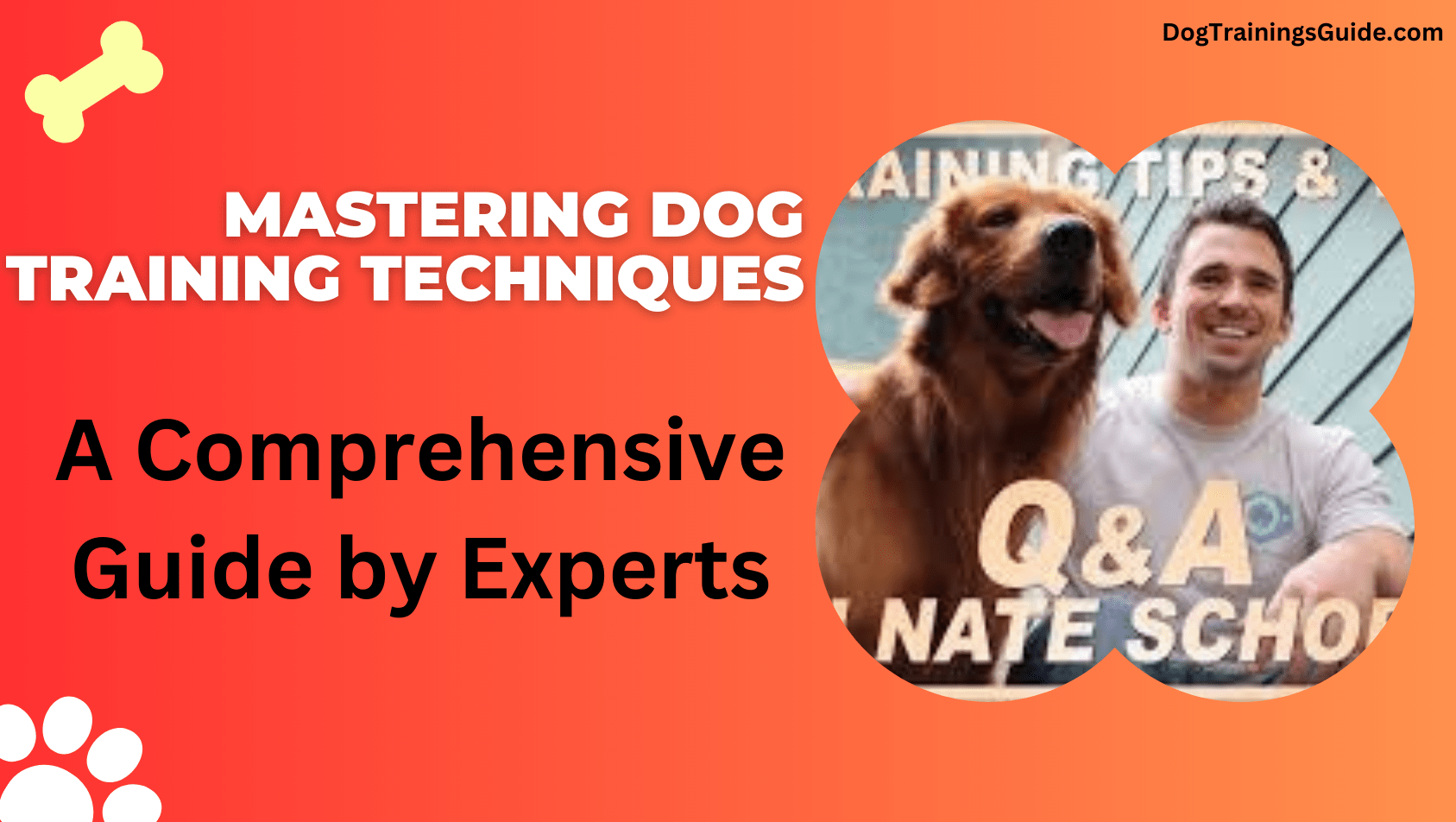 Mastering Dog Training Techniques: A Comprehensive Guide by Experts